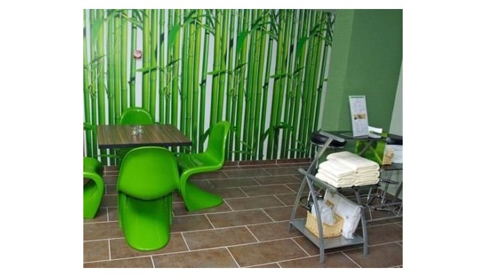 Green Hotel Budapest poza 23