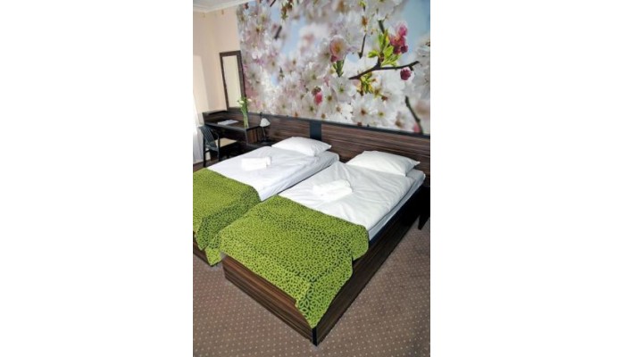 Green Hotel Budapest poza 8