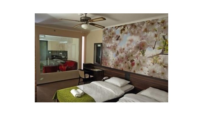 Green Hotel Budapest poza 11