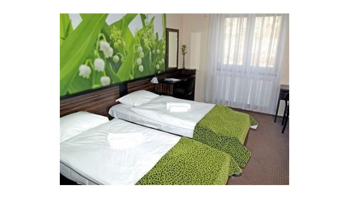 Green Hotel Budapest poza 5