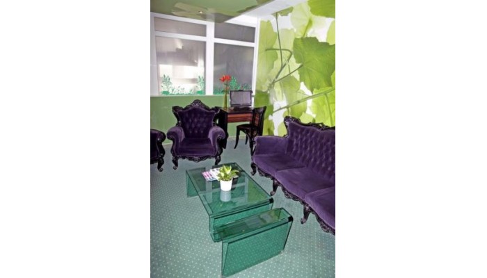 Green Hotel Budapest poza 2