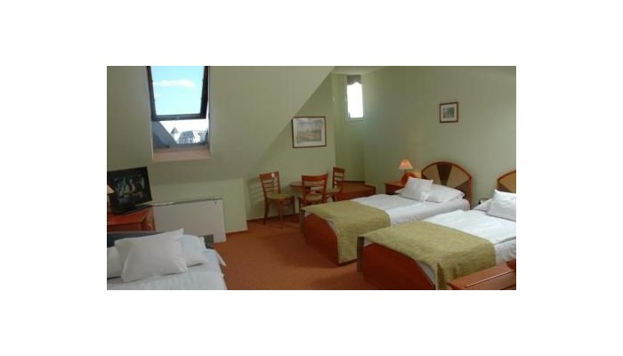 Hotel Baross City poza 9