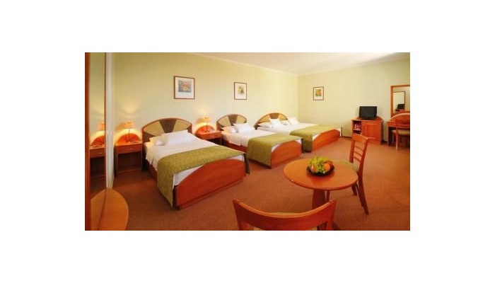 Hotel Baross City poza 6