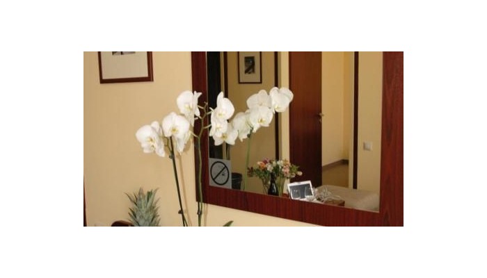 Hotel Central Basilica poza 20