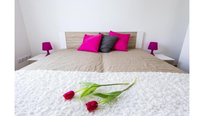 Hotel Grand Budapest Penthouse poza 0