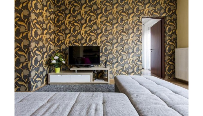Hotel Grand Budapest Penthouse poza 10