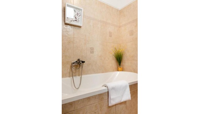 Hotel Grand Budapest Penthouse poza 12