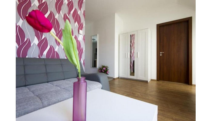 Hotel Grand Budapest Penthouse poza 7