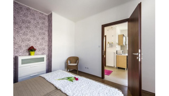 Hotel Grand Budapest Penthouse poza 4